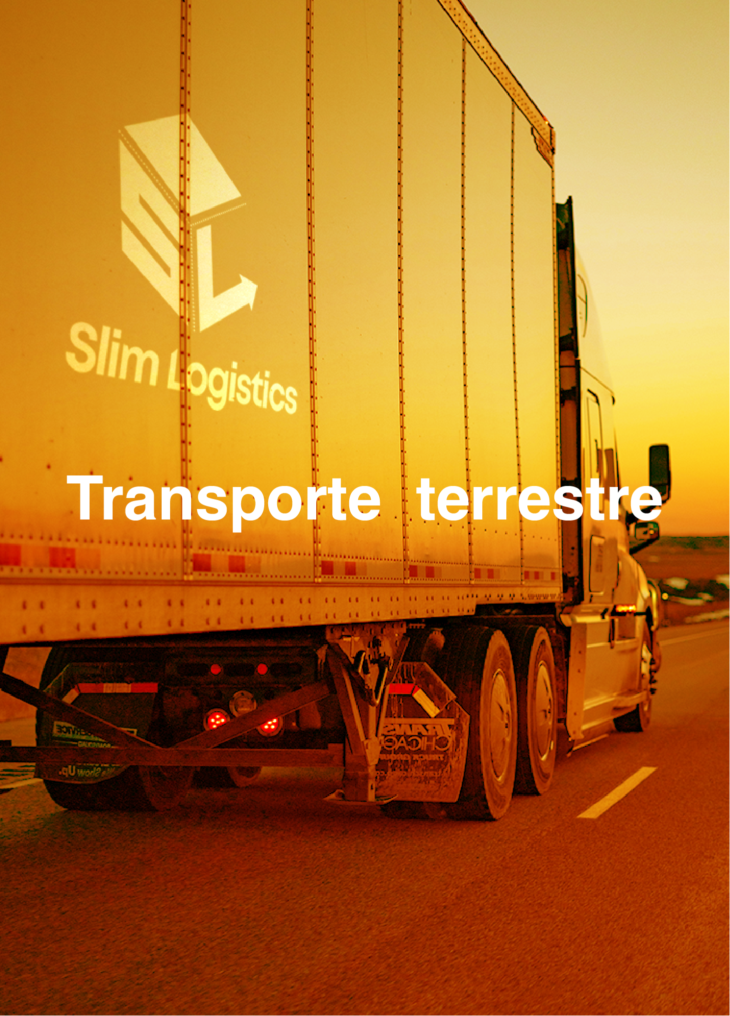 servicios-02